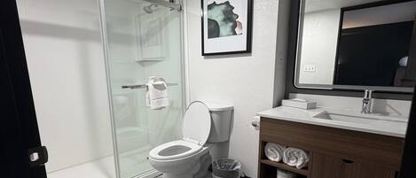A modern bathroom with a glass shower enclosure, a toilet, a sink, and a mirror.