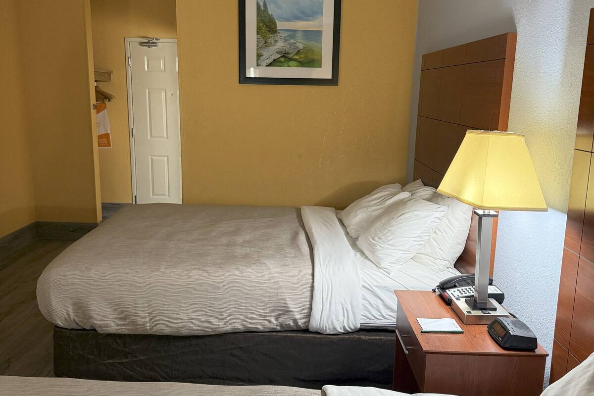 Standard Room, 2 Queen Beds, Non Smoking | Desk, iron/ironing board, free cots/infant beds, rollaway beds