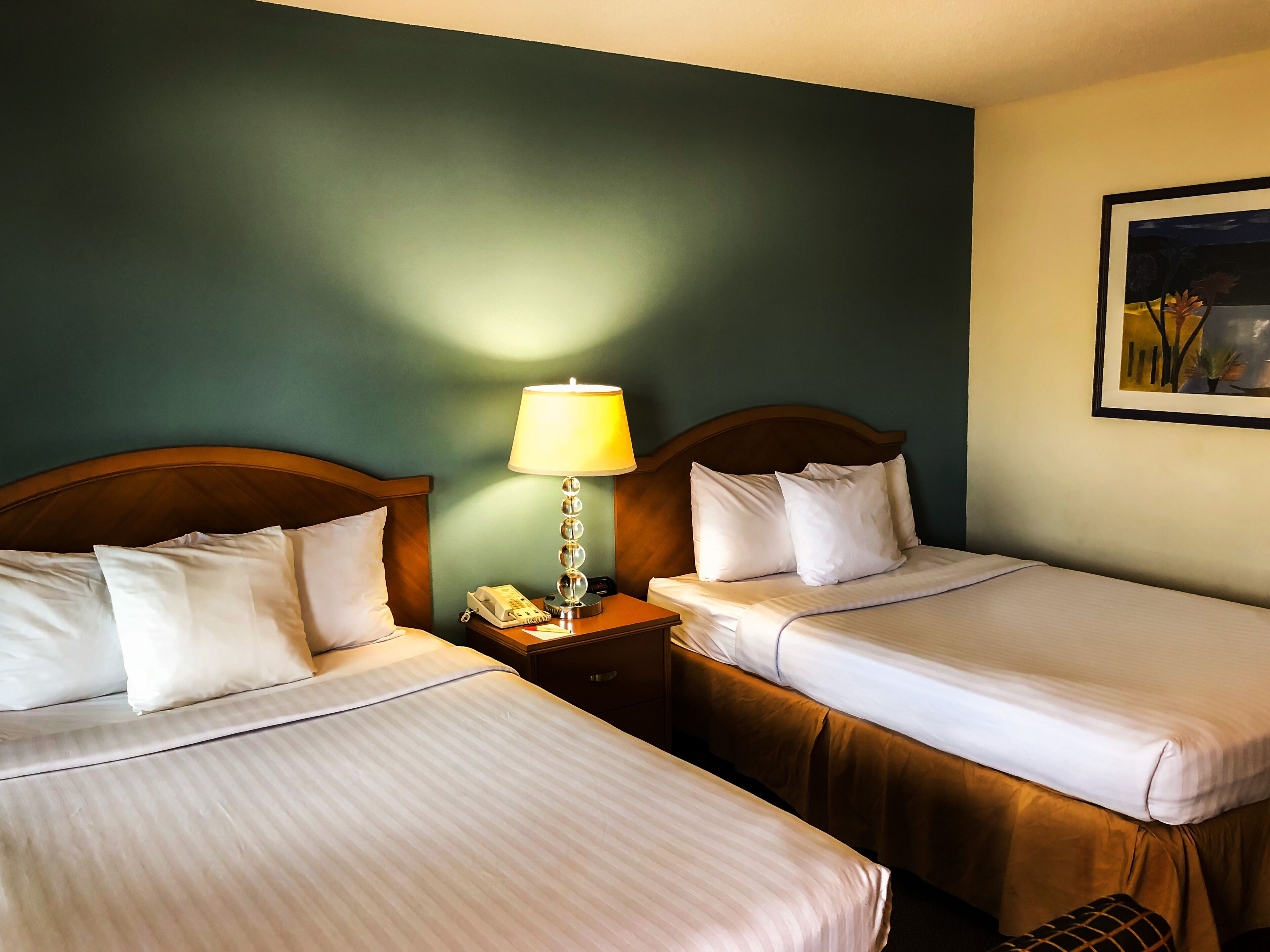 Standard Room, 2 Double Beds, Non Smoking, Refrigerator & Microwave