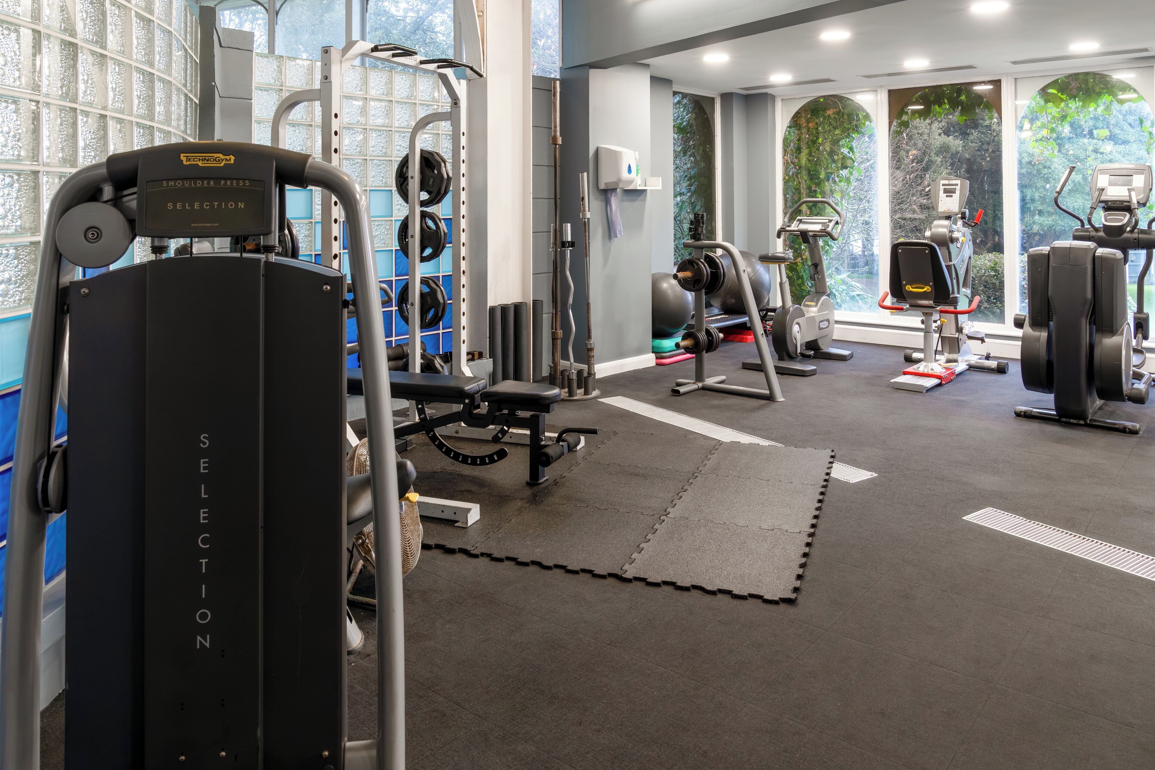 A gym with weightlifting equipment, cardio machines, and a view of greenery through large windows.