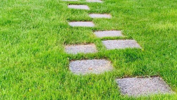 A pathway with stepping stones in a grassy area surrounded by trees. - Doubletree by Hilton Somerset Hotel and Conference Center (Somerset)