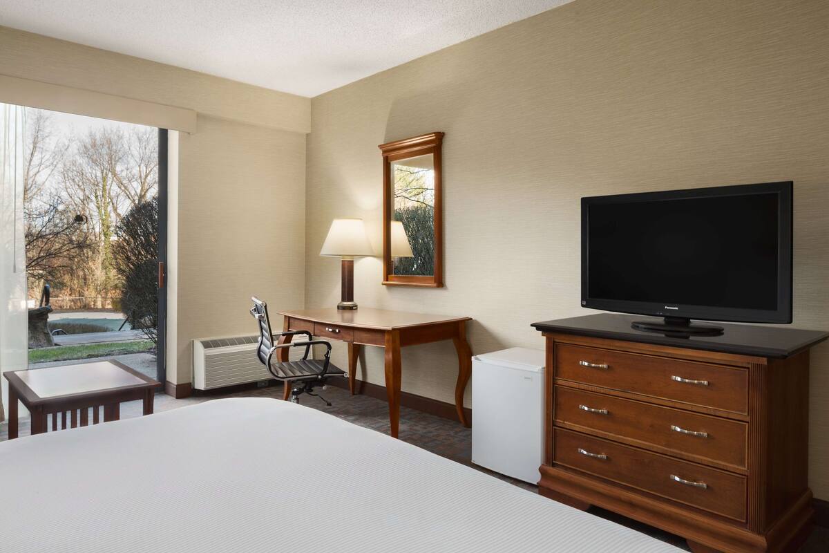A hotel room with a bed, a desk, a chair, a television, a dresser, and a window with a view of trees and a car.