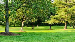 A park with green grass and trees. - Doubletree by Hilton Somerset Hotel and Conference Center (Somerset)
