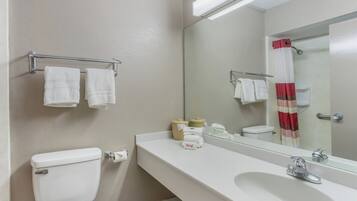 Ein Badezimmer mit Toilette, Waschbecken und einem Spiegel, der eine Duschvorhang reflektiert.