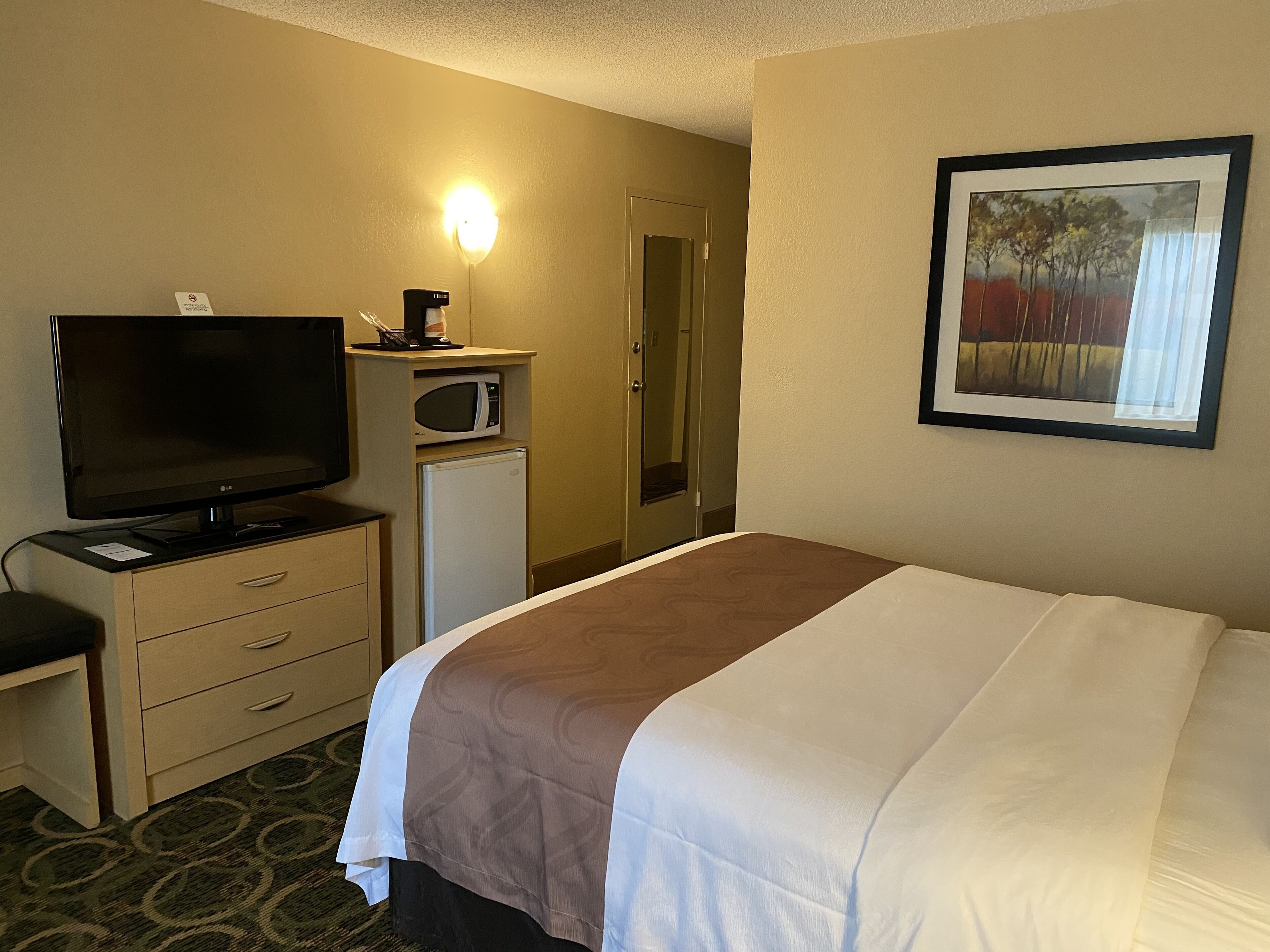 Habitación de hotel con cama, televisión, microondas, escritorio con cajones y un cuadro en la pared.