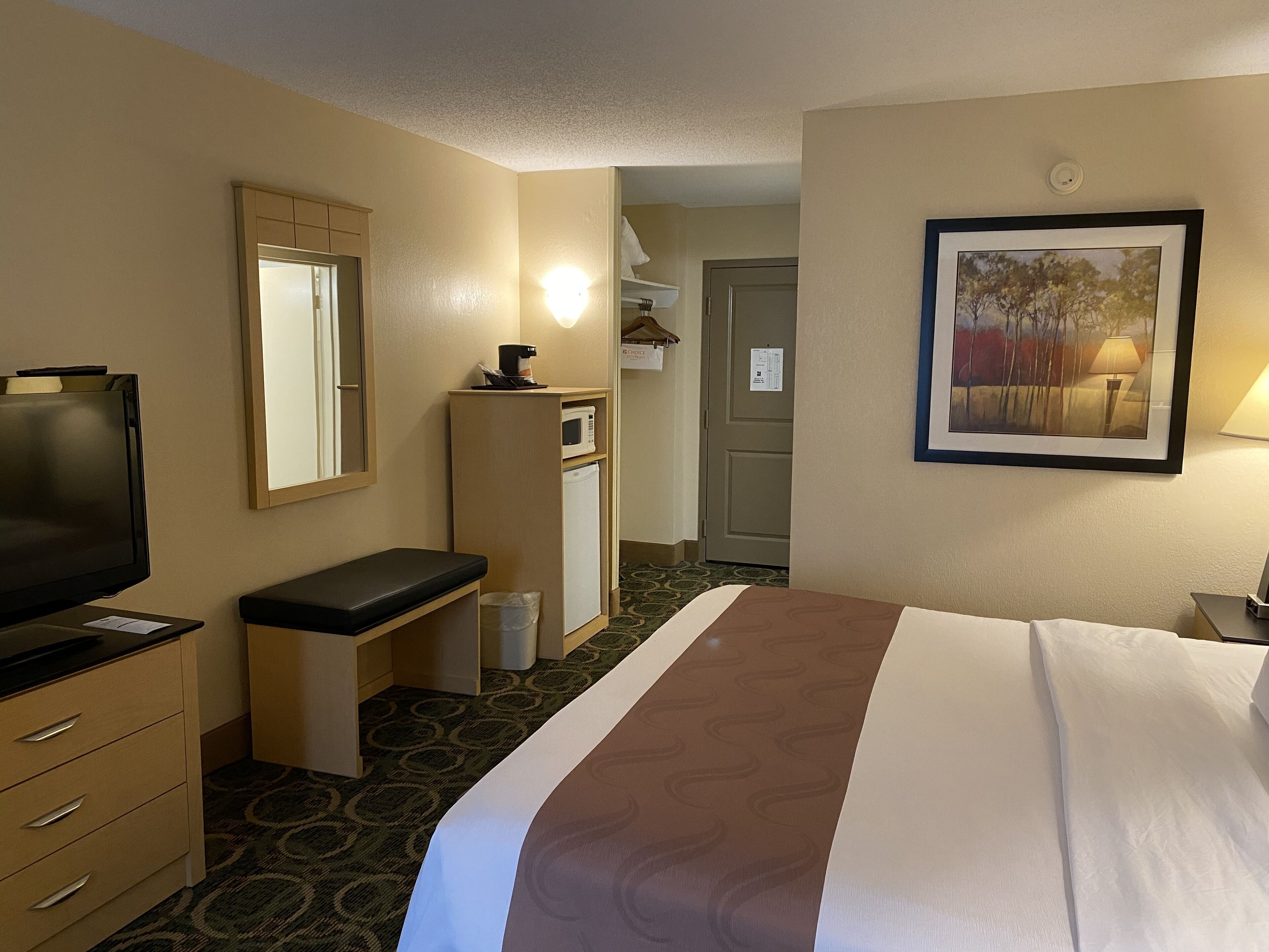 A hotel room with a bed, a desk, a television, a microwave, and a framed picture on the wall.