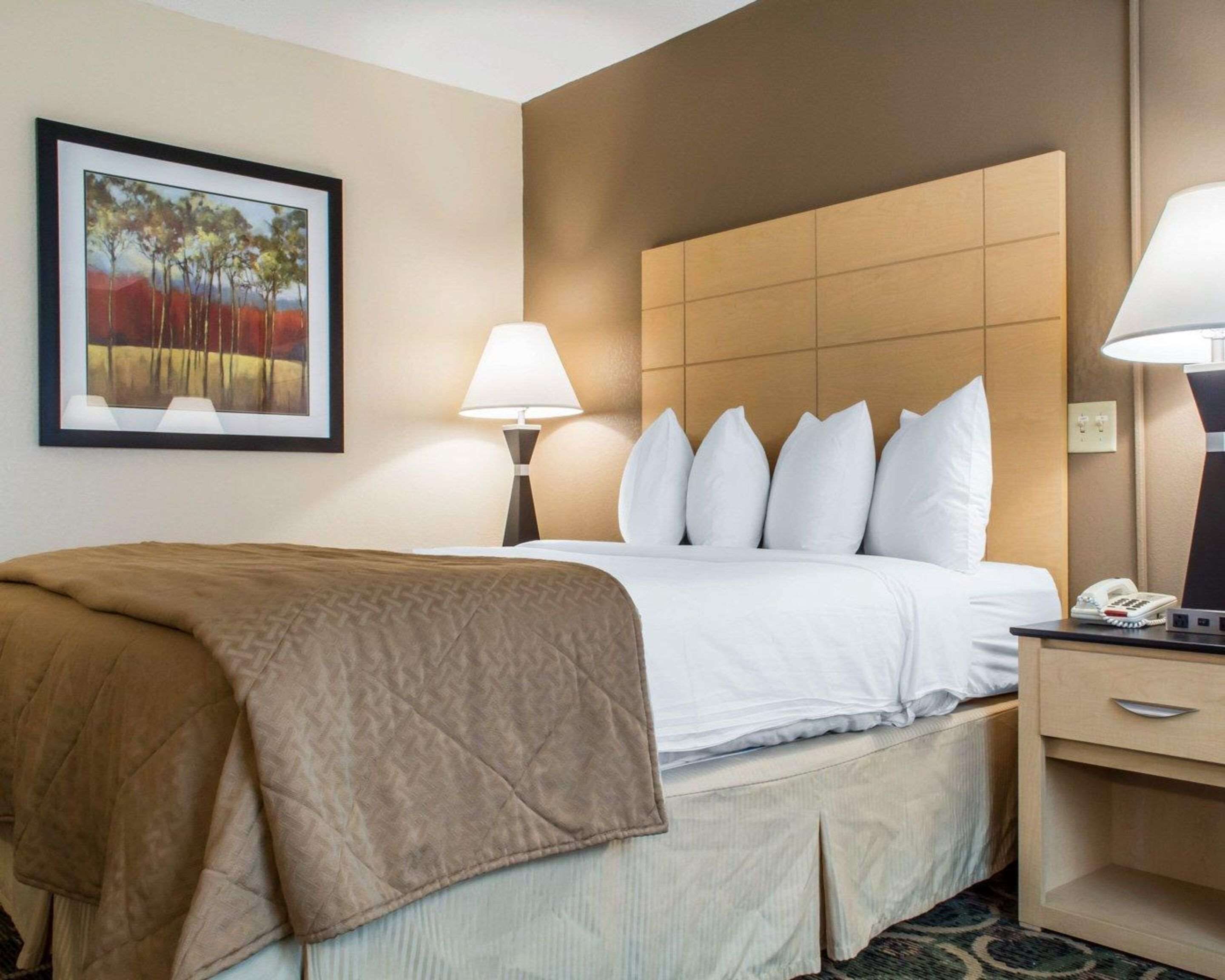 room, 1 queen bed, accessible, non smoking | individually decorated, individually furnished, desk, laptop workspace