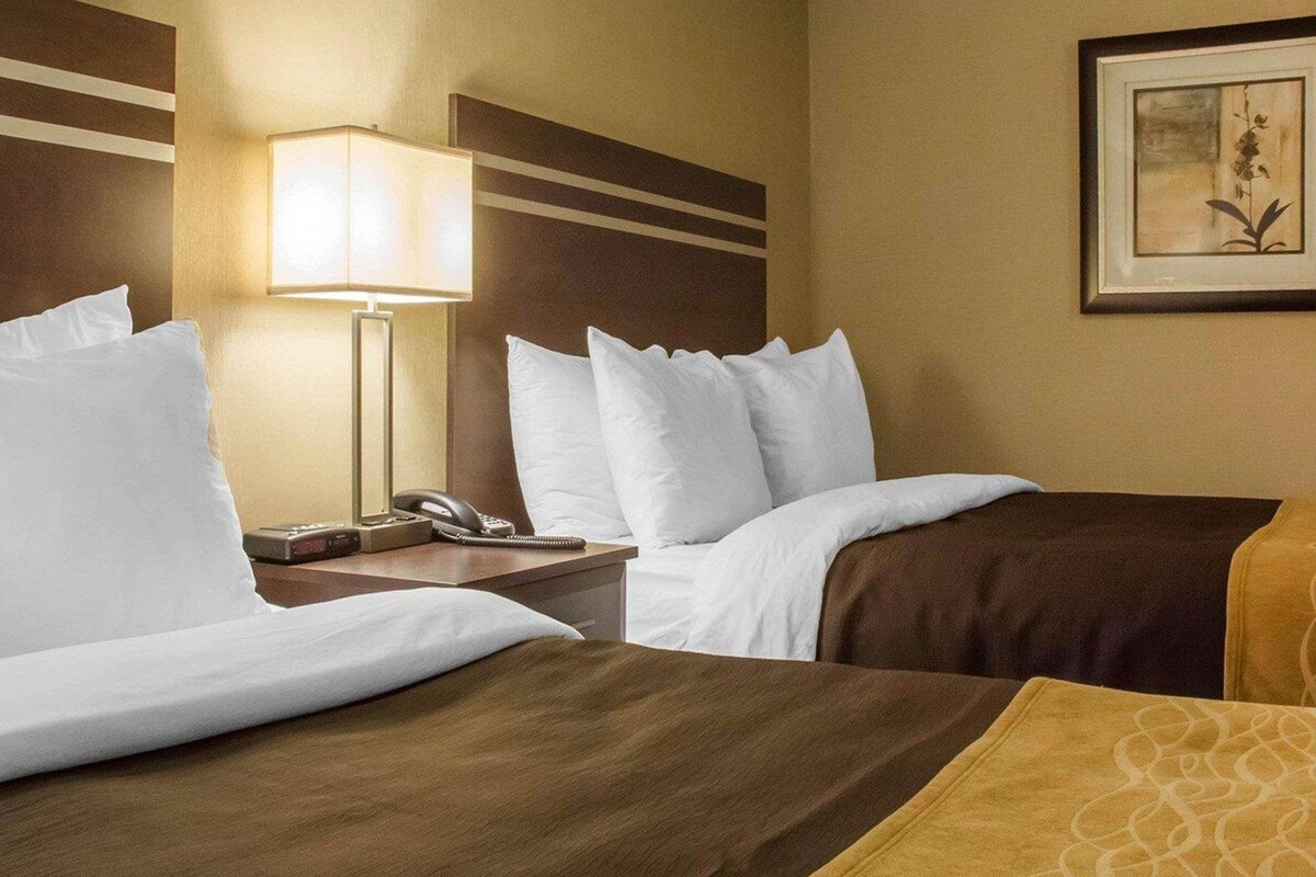 A hotel room with two beds, a bedside table with a lamp, a phone, and a framed picture on the wall.