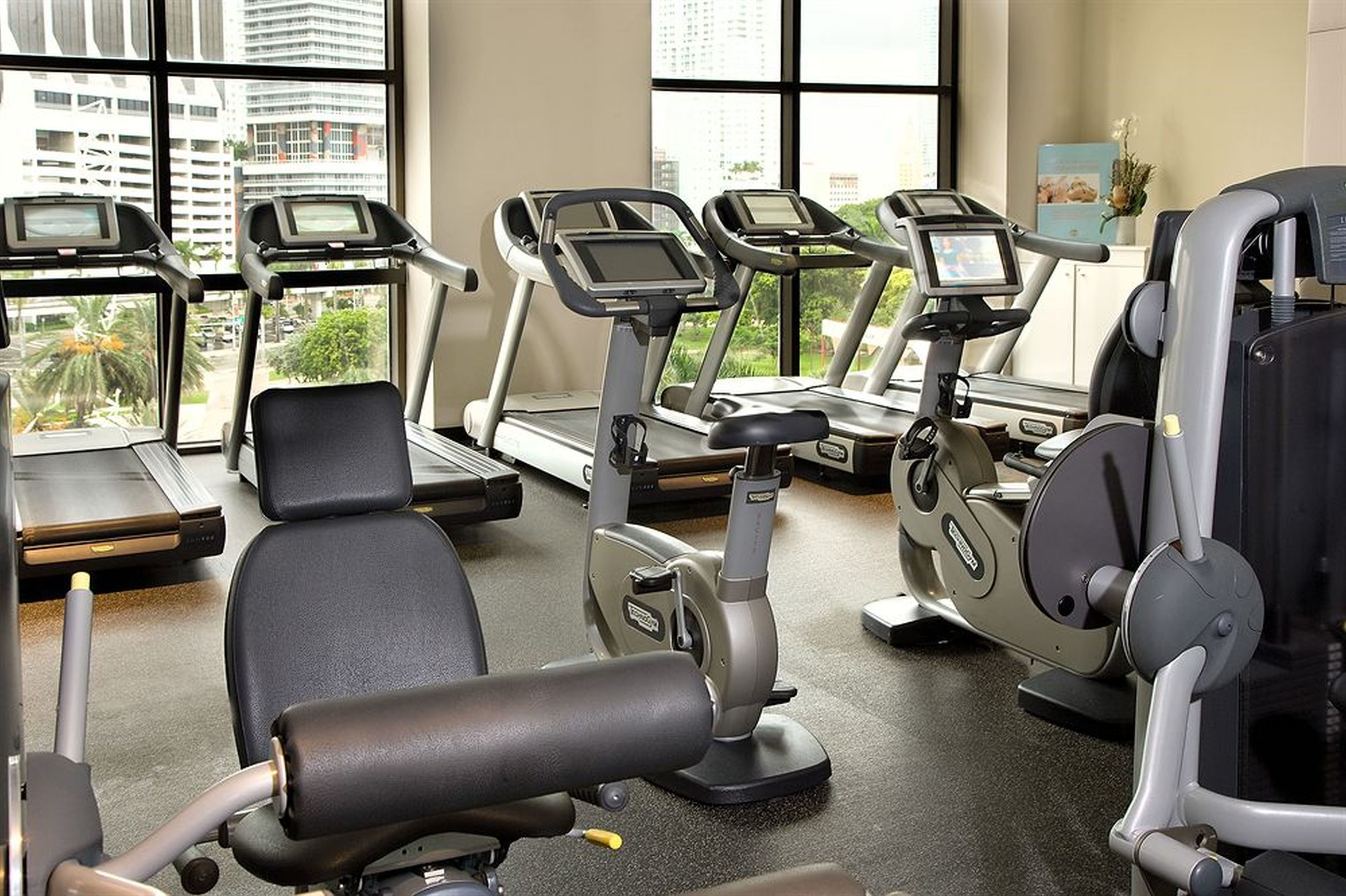 Gimnasio