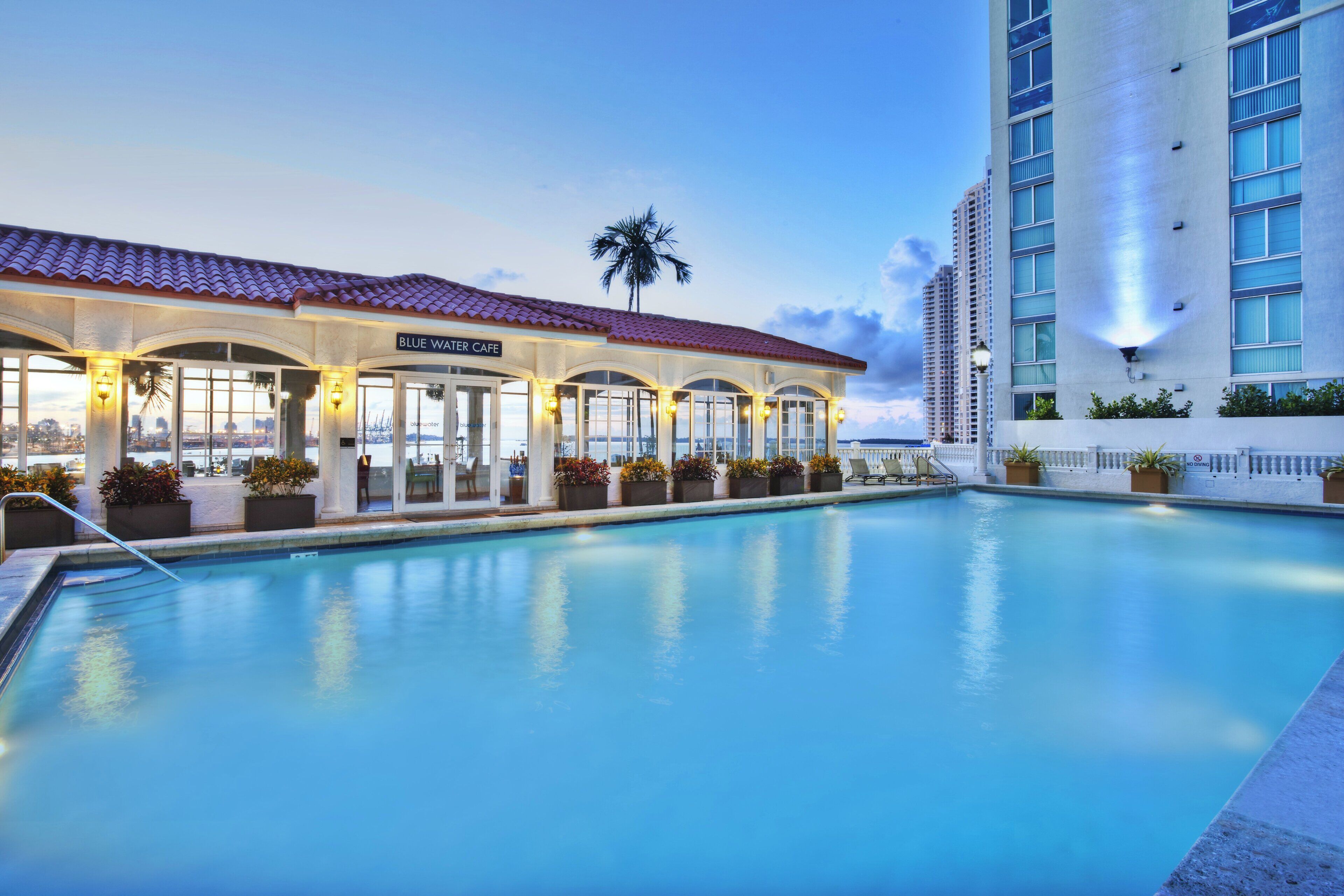 Outdoor pool, pool loungers