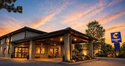 Comfort Inn