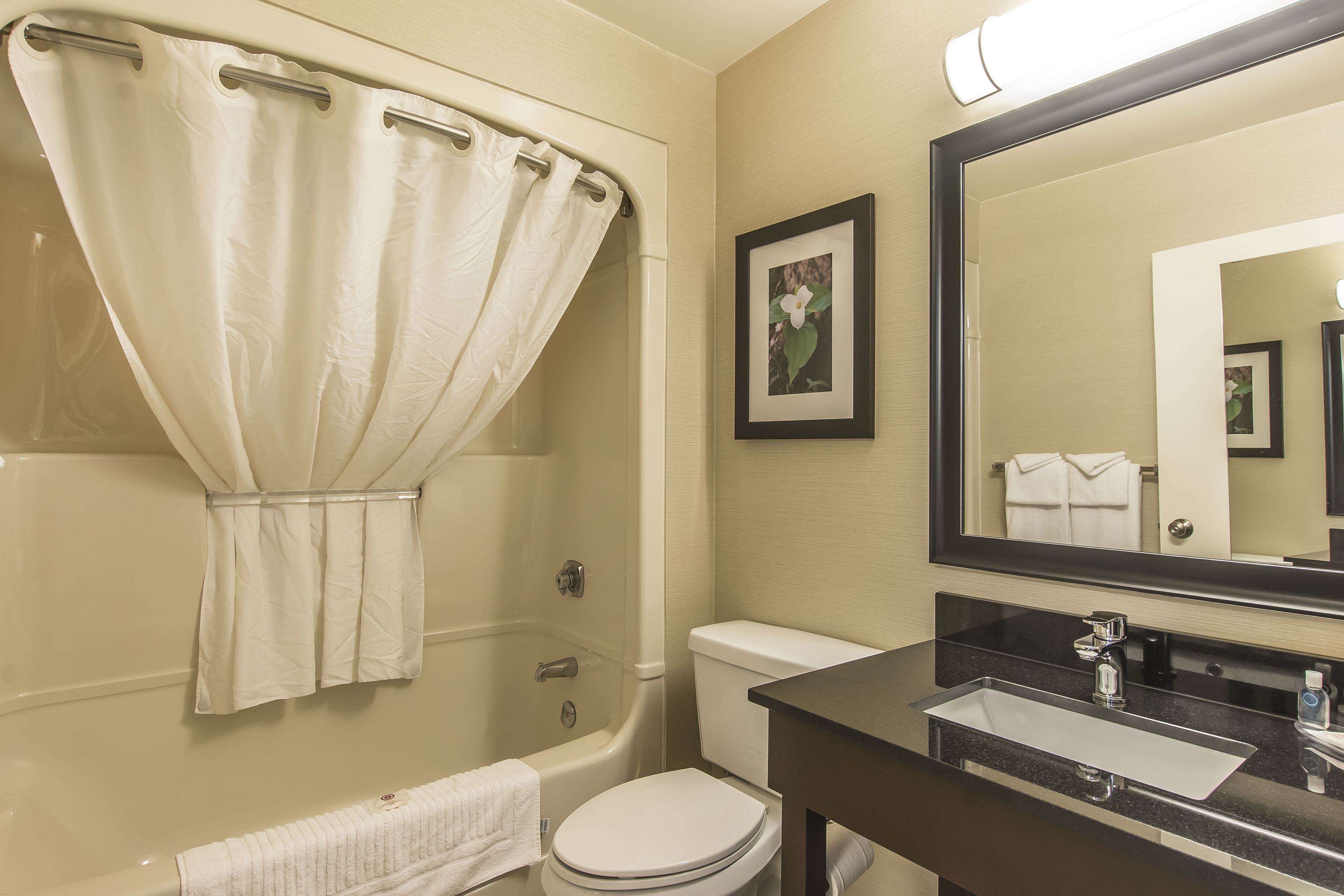 combined shower/bathtub, hydromassage showerhead, free toiletries