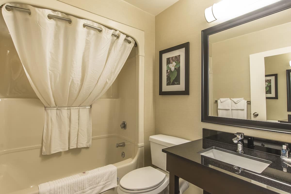 combined shower/bathtub, hydromassage showerhead, free toiletries