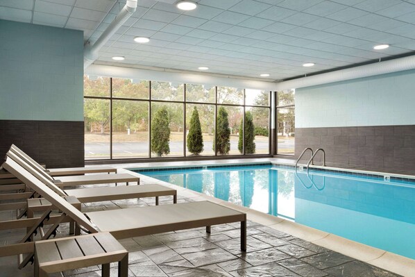 Indoor pool, sun loungers