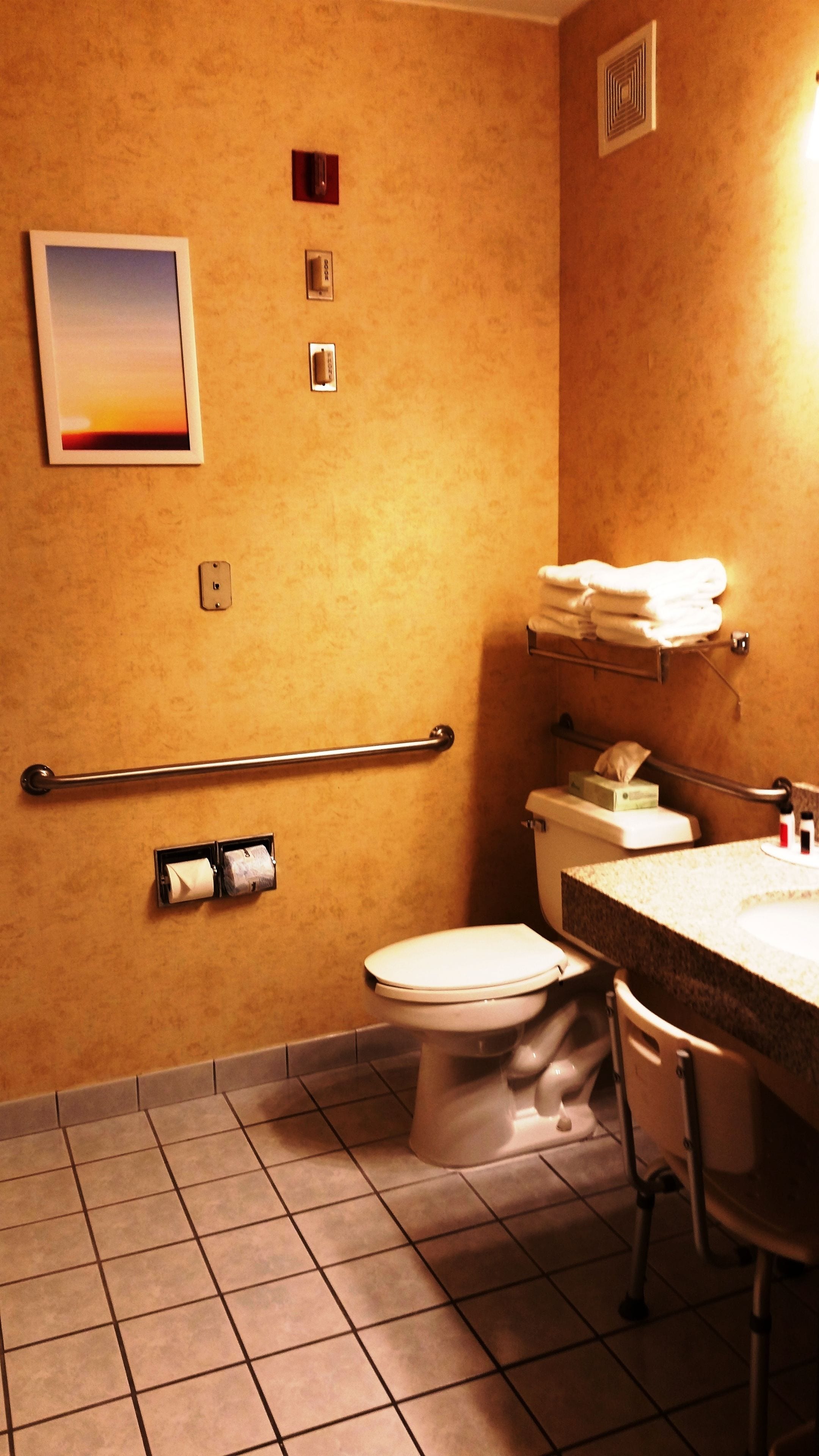 A bathroom with a toilet, a sink, a handrail, and a towel rack.