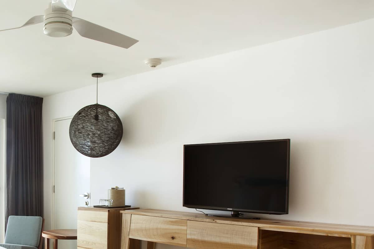 Fernseher