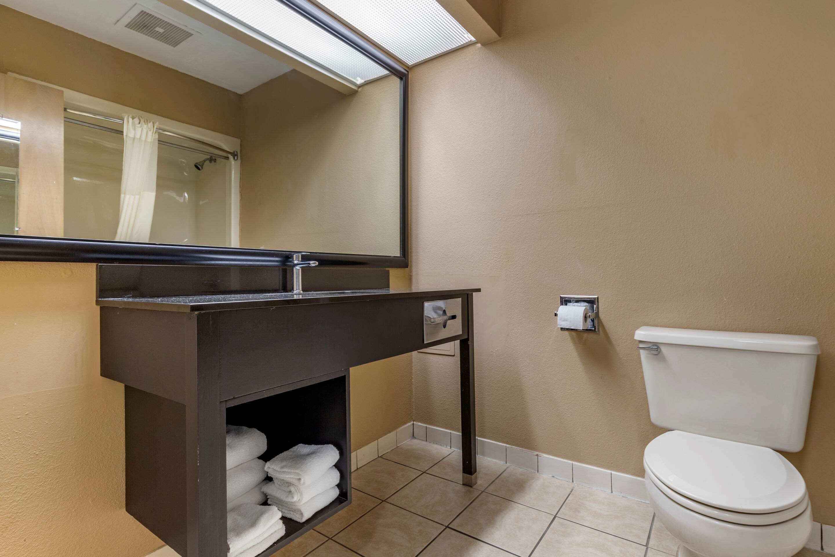 A bathroom with a toilet, a sink with a mirror, and a shower area.