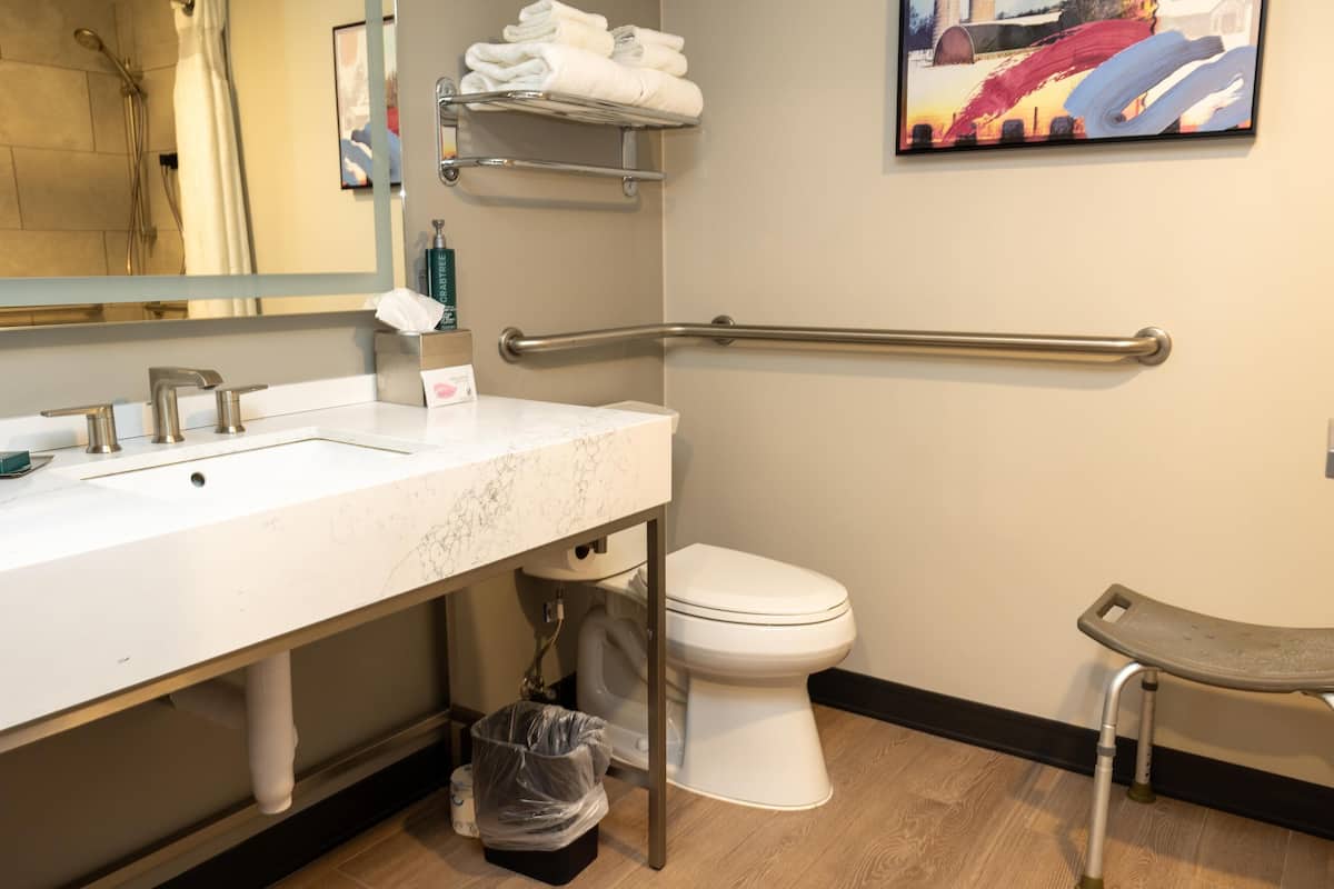 A bathroom with a white sink, a toilet, a handrail, and a trash bin.