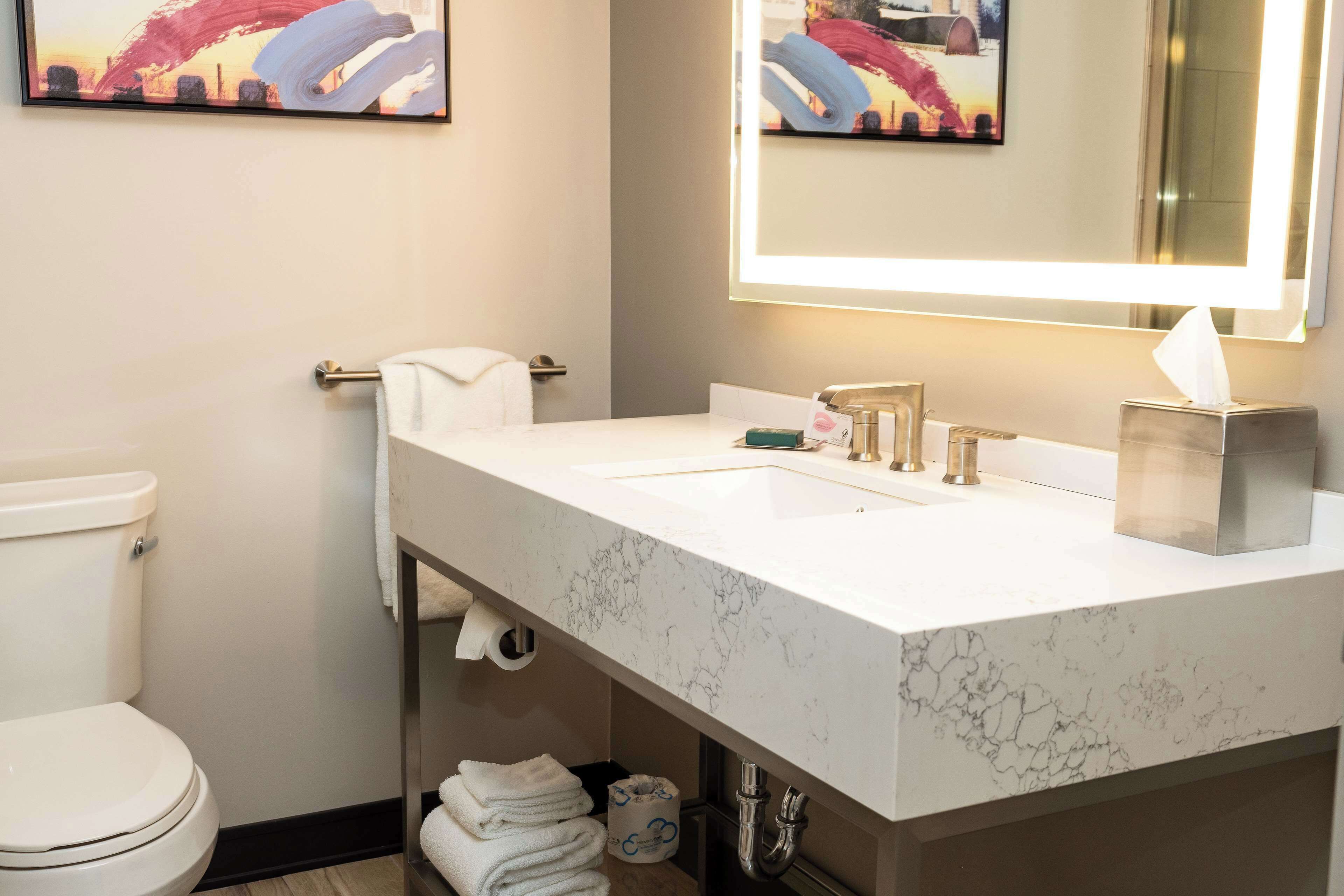 room, 1 king bed | bathroom | combined shower/bathtub, eco-friendly toiletries, hair dryer, towels