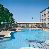 Una piscina al aire libre, sillones reclinables de piscina