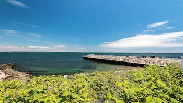 A coastal view with a rocky pier extending into the water, surrounded by lush greenery.