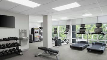 A gym with treadmills, dumbbells, and exercise equipment.