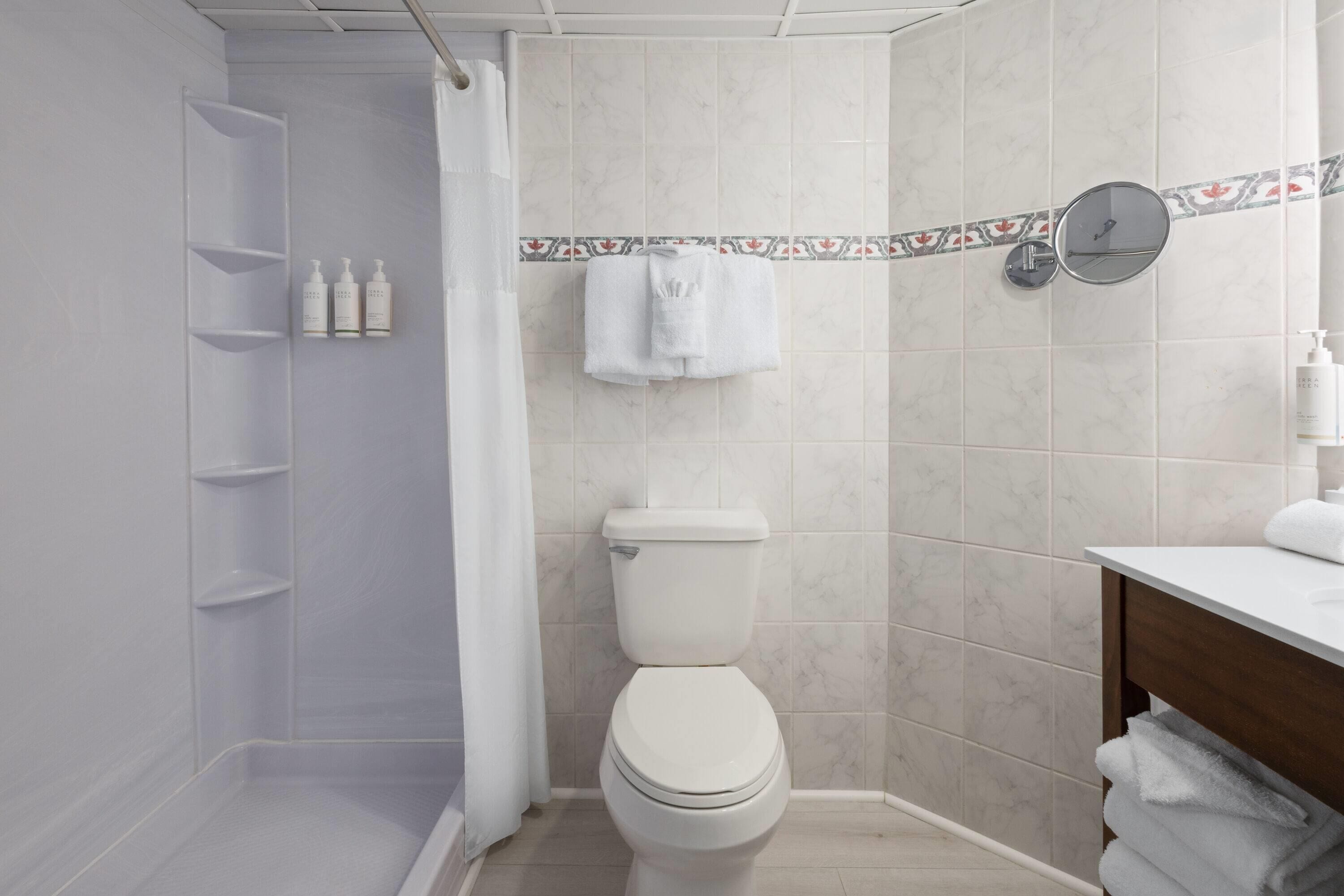 combined shower/bathtub, free toiletries, hair dryer, towels