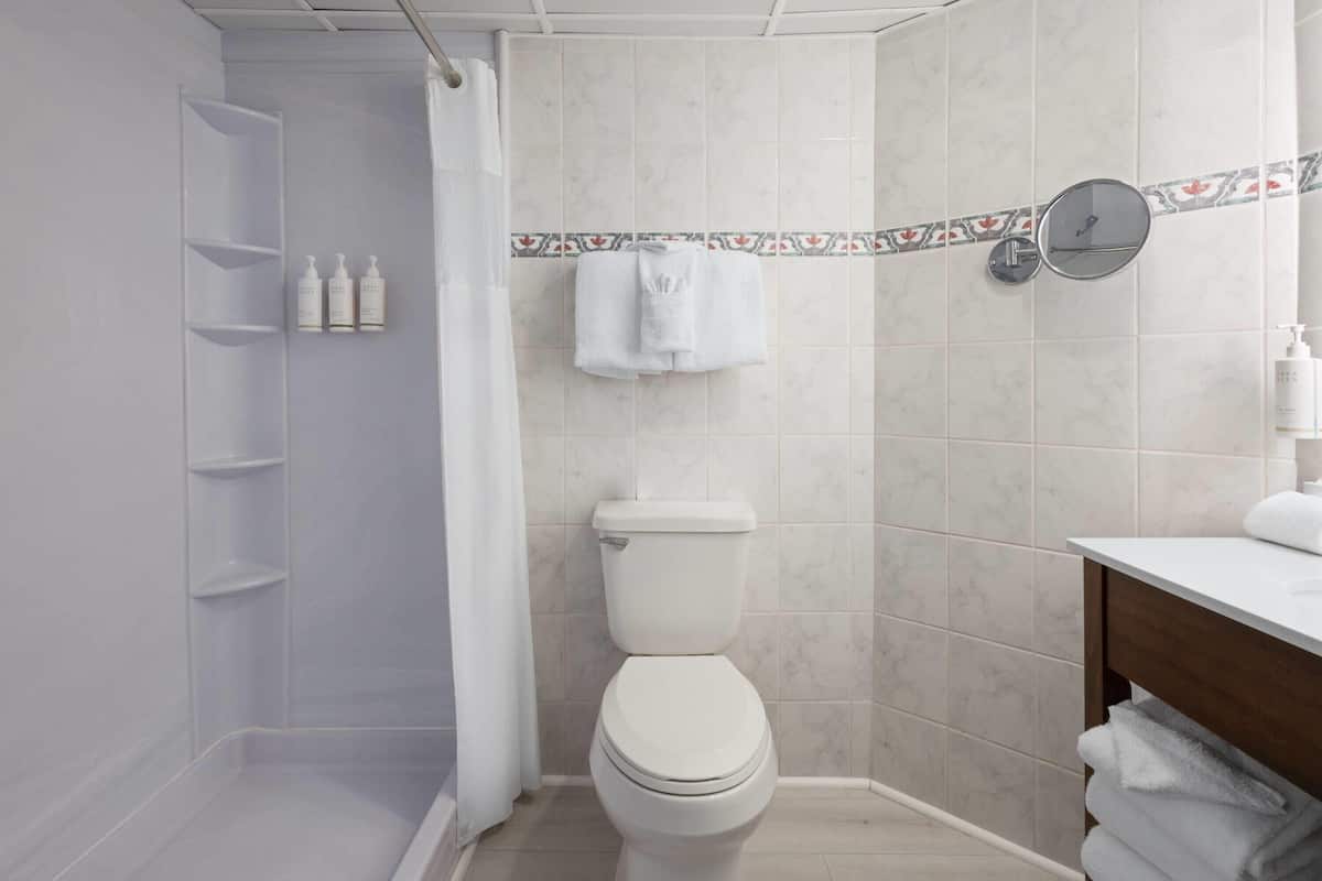 combined shower/bathtub, free toiletries, hair dryer, towels