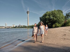 A riverbank with a tower in the background, a sandy beach, and greenery.
