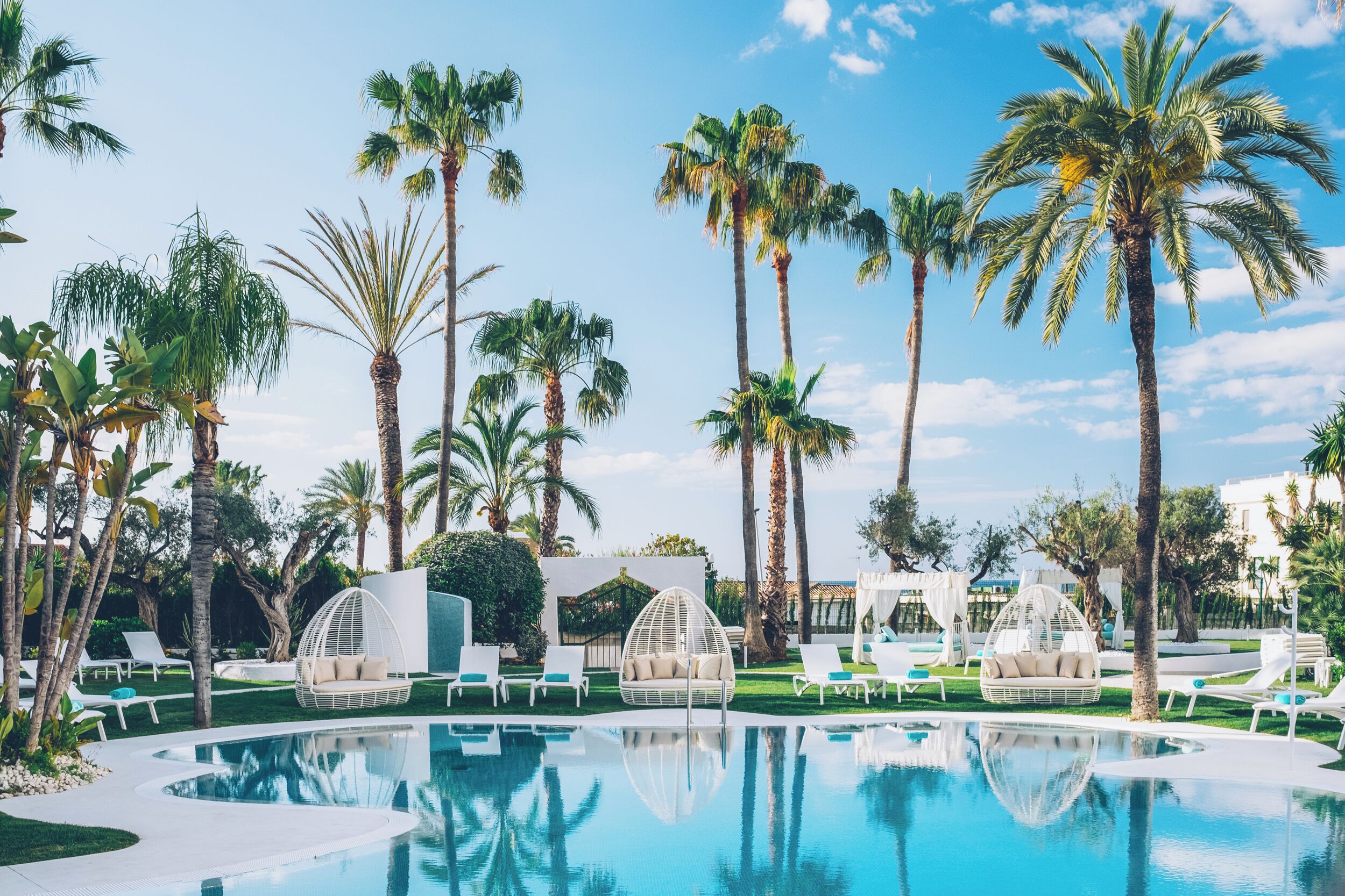 Outdoor pool, pool umbrellas, pool loungers