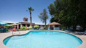Una piscina con una palmera y un edificio con una torre del reloj al fondo.