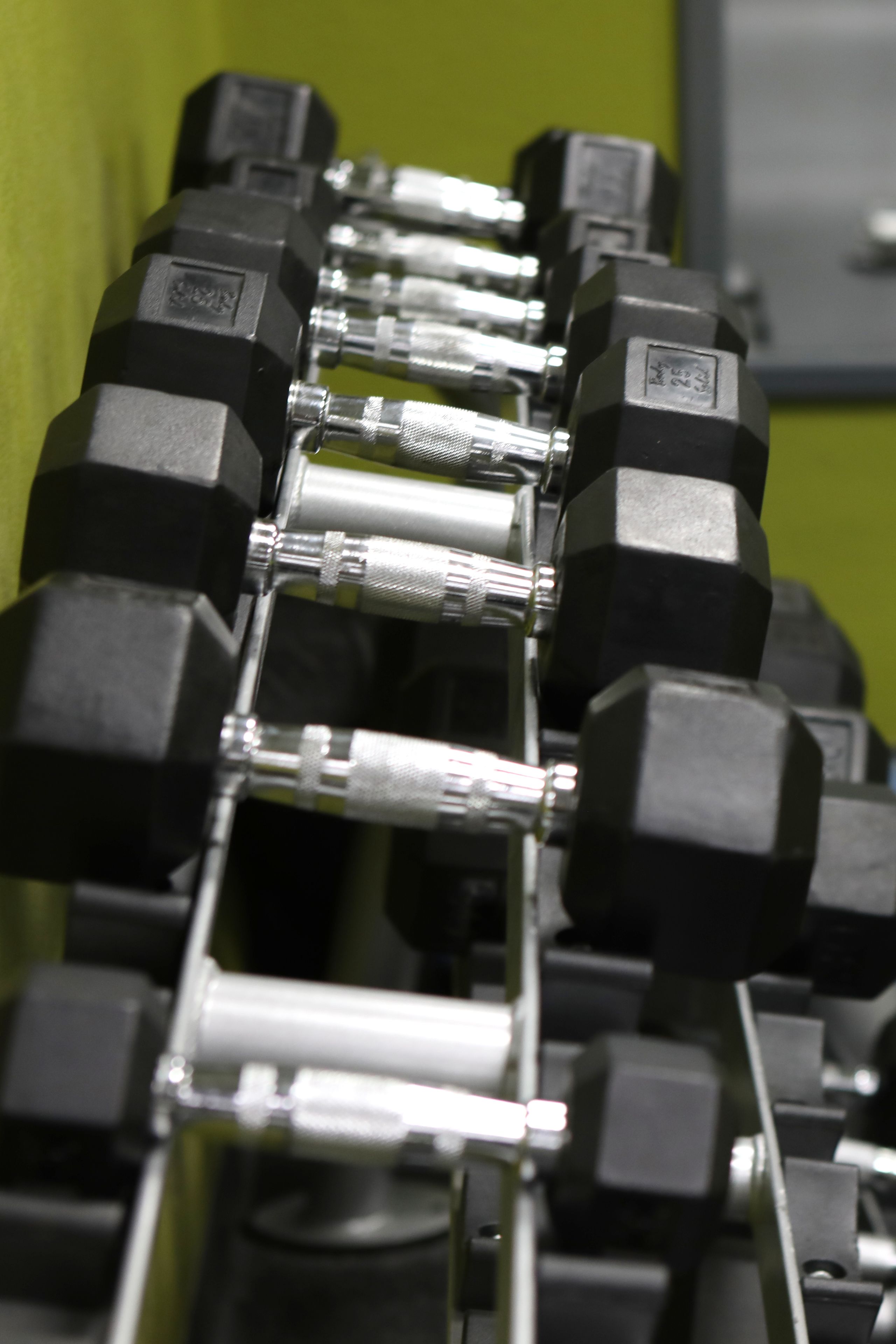 Photo - Holiday Inn O'Hare Area by IHG