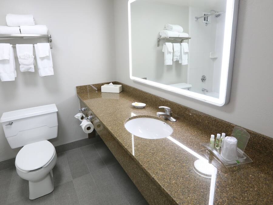 Un baño moderno con inodoro, lavamanos y espejo grande.