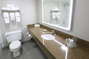 A modern bathroom with a toilet, sink, and large mirror.