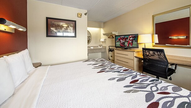A hotel room with a bed, a desk, a television, and a mirror. - Red Roof Inn Florence - Civic Center (Florence)