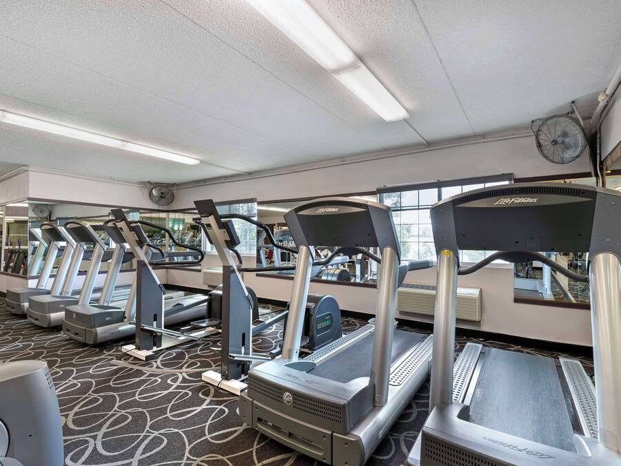 Une salle de sport équipée de tapis de course, de vélos elliptiques et d’un mur recouvert de miroirs.