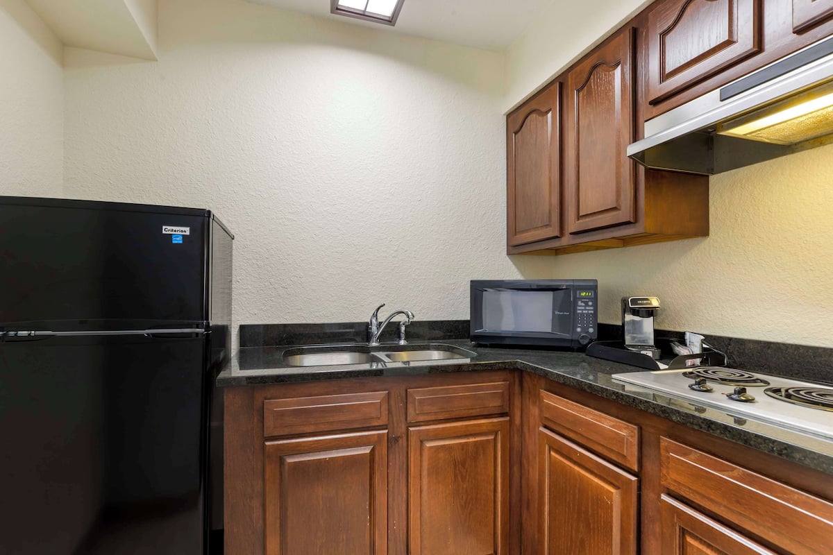standard room, 1 queen bed, non smoking, kitchenette (with single sofabed;larger room) | private kitchenette | fridge, microwave, coffee/tea maker, high chair