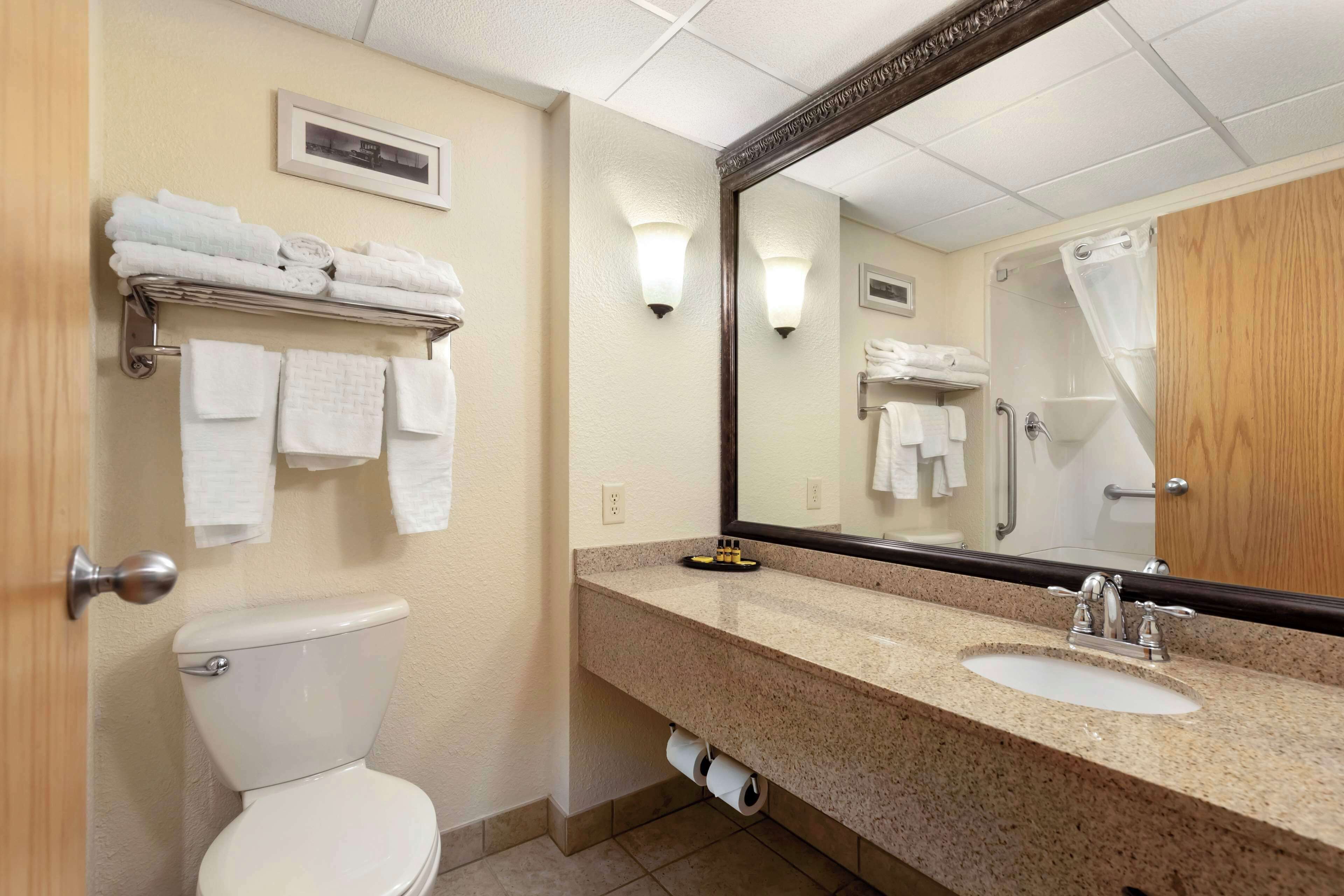 A bathroom with a toilet, sink, mirror, towel rack, and shower curtain.