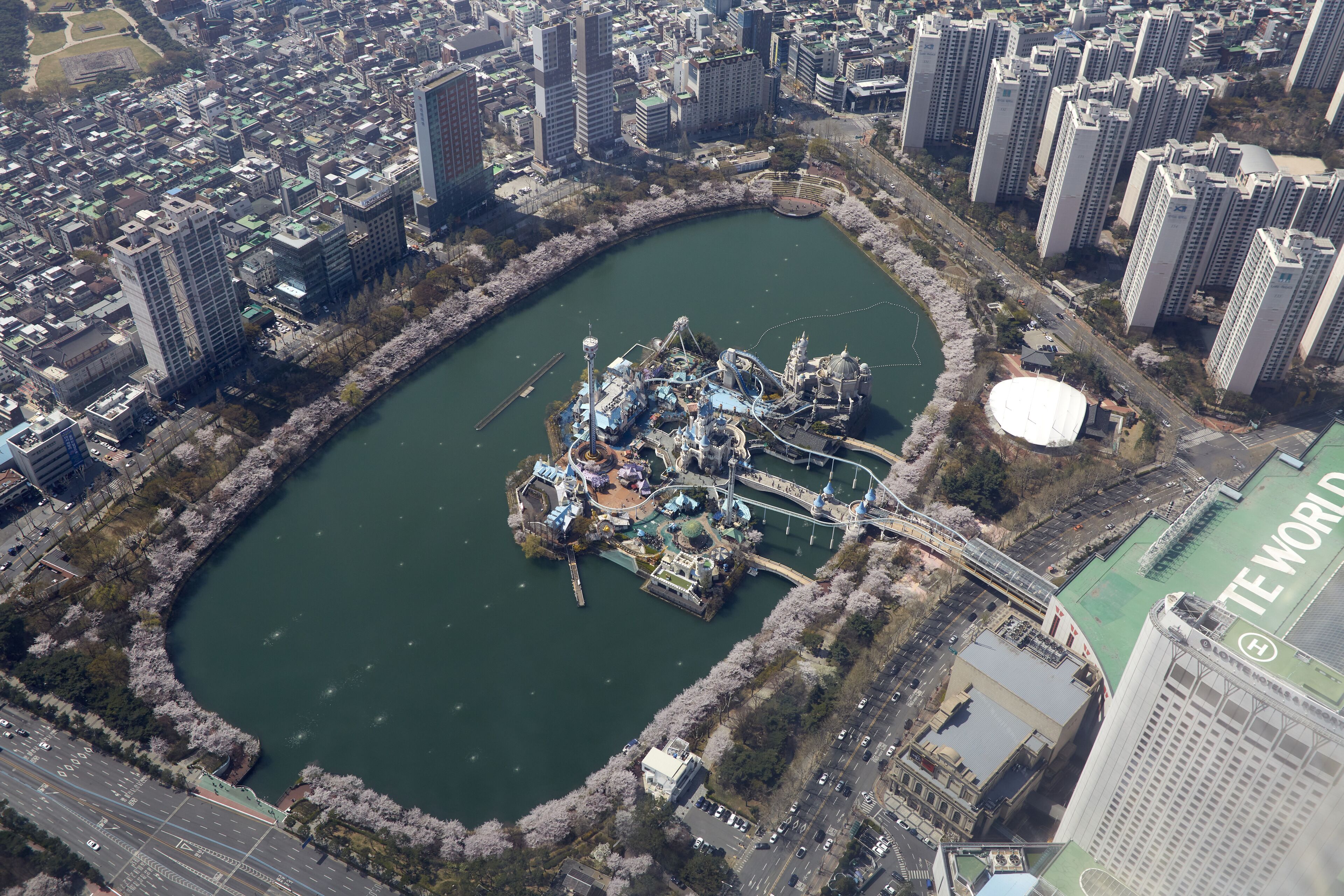 An aerial view of a city with a large body of water, surrounded by high-rise buildings and a park with cherry blossoms.