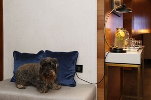 Animaux de compagnie acceptés