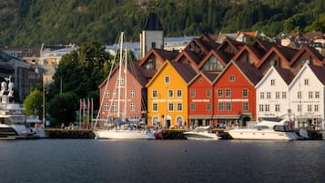 Eksteriør