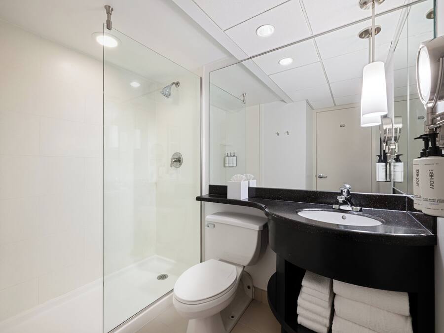 A modern bathroom with a glass-enclosed shower, a white toilet, and a black sink with a mirror above it.