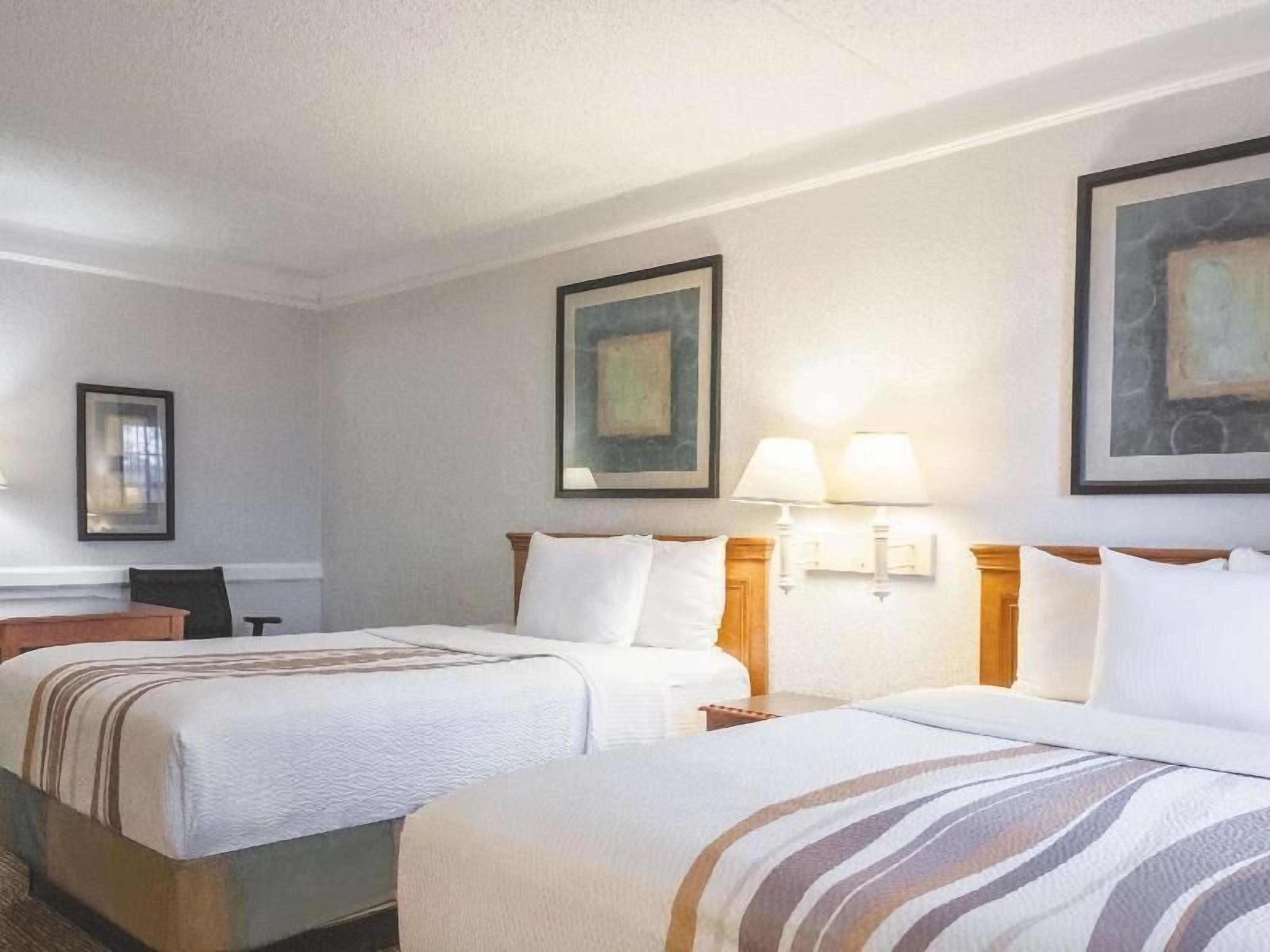 Premium bedding, desk, laptop workspace, iron/ironing board