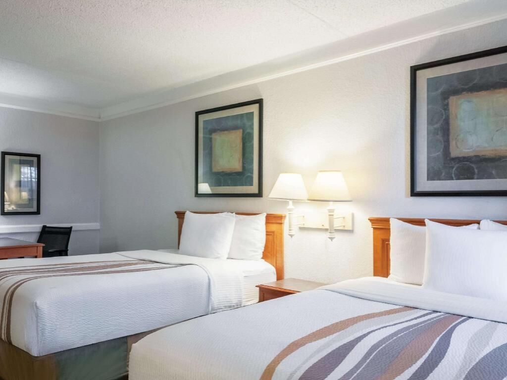 Premium bedding, desk, laptop workspace, iron/ironing board