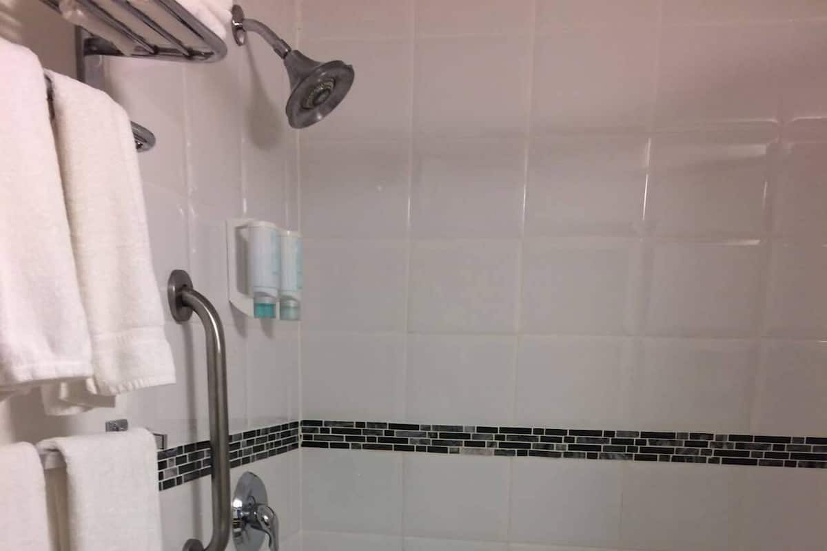 Bathroom | Shower, eco-friendly toiletries, hair dryer, towels