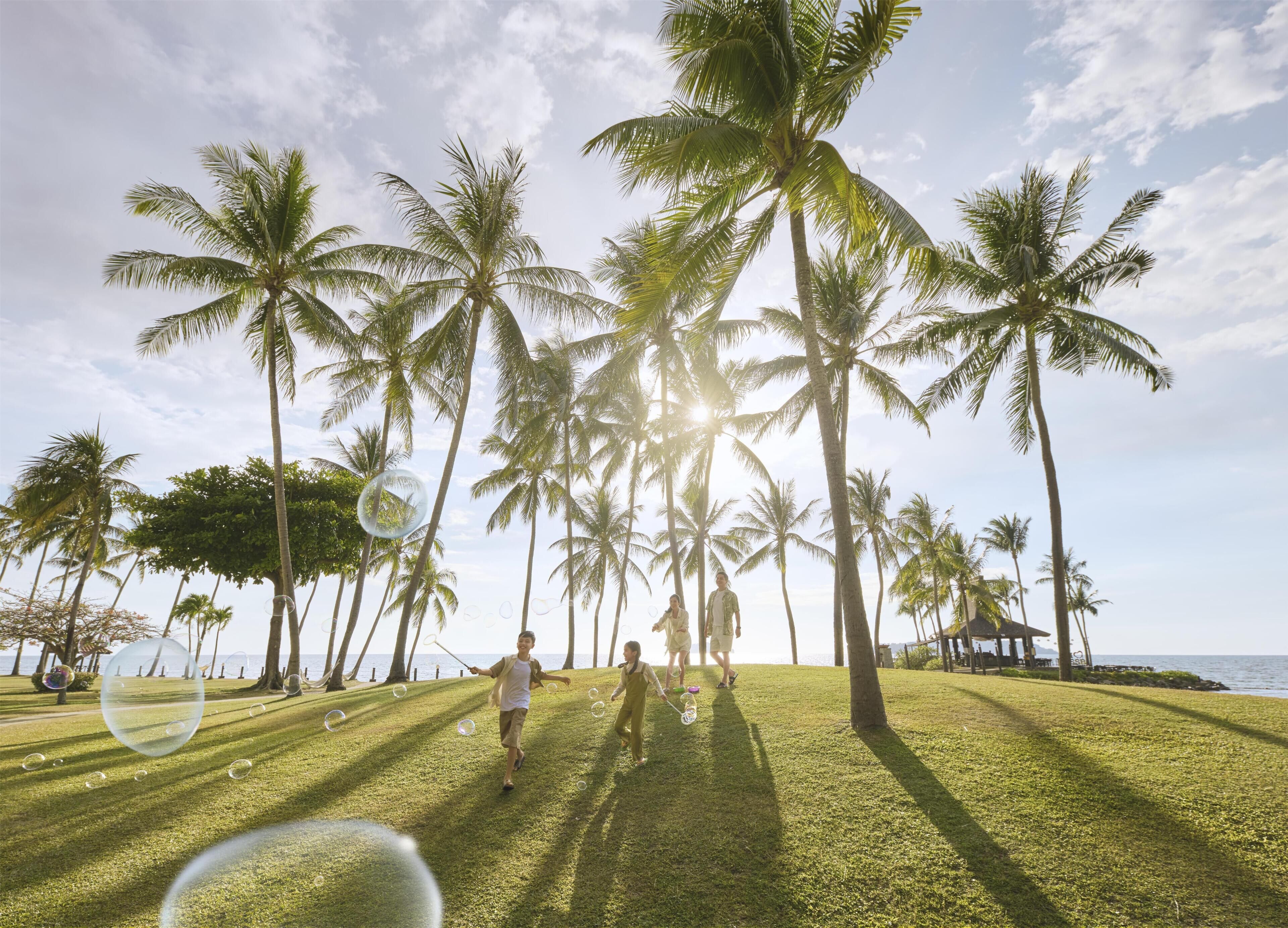 A grassy area with palm trees and a body of water in the background.