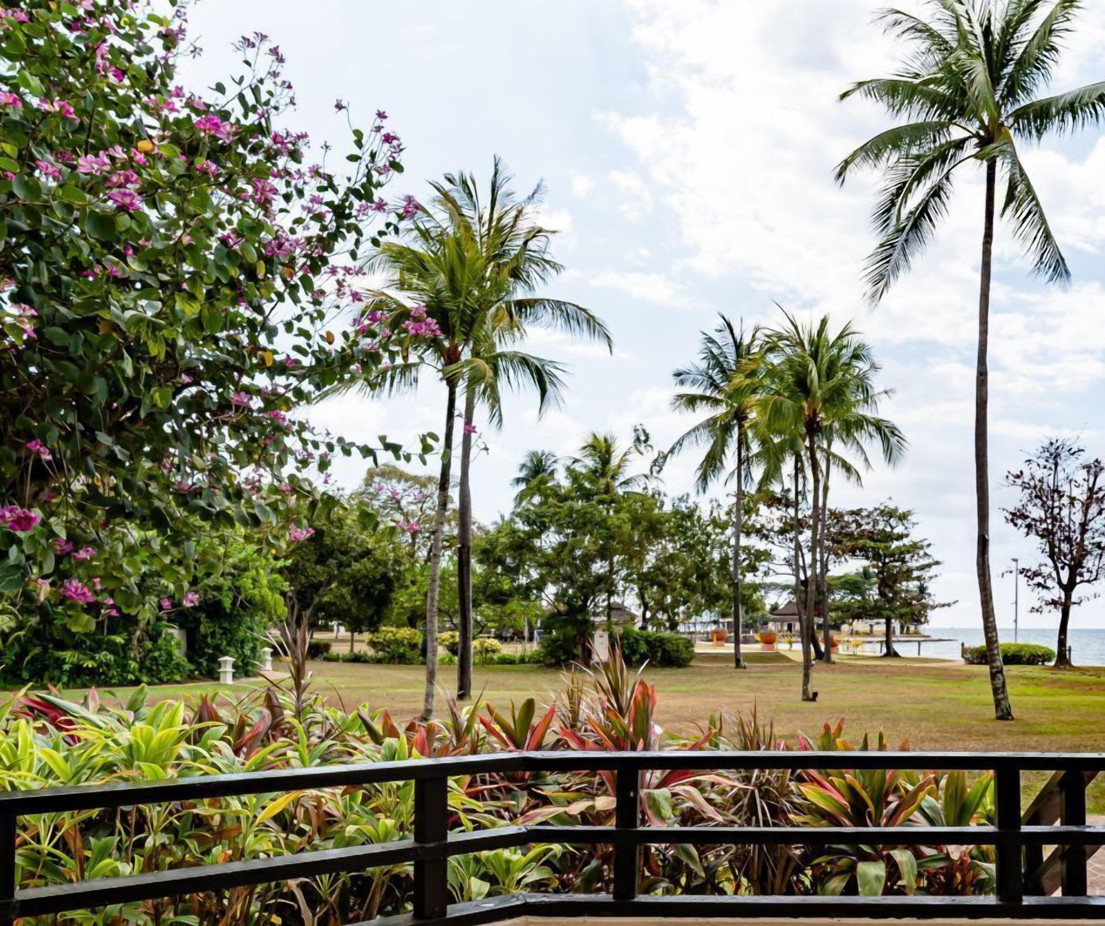 Un jardín tropical con palmeras y plantas con flores.