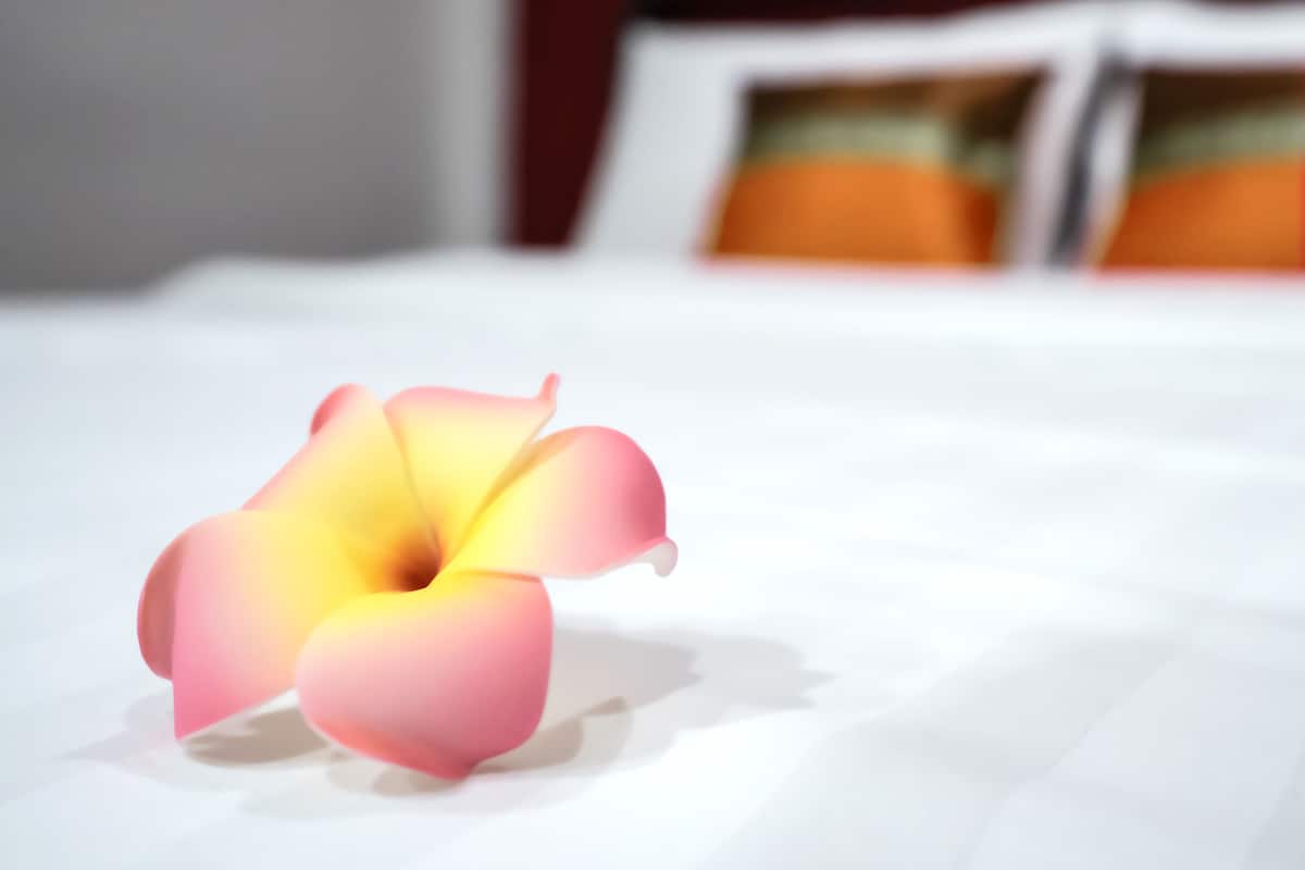 Équipements de la chambre