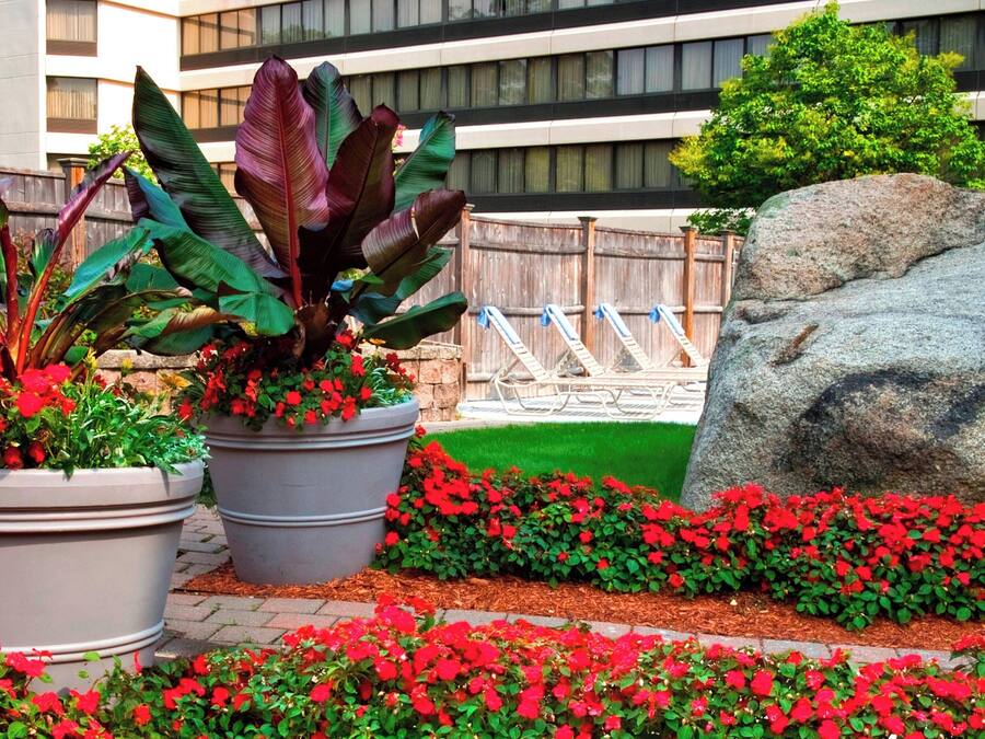 A landscaped garden with potted plants and red flowers, a large rock, and a building with a modern design in the background.