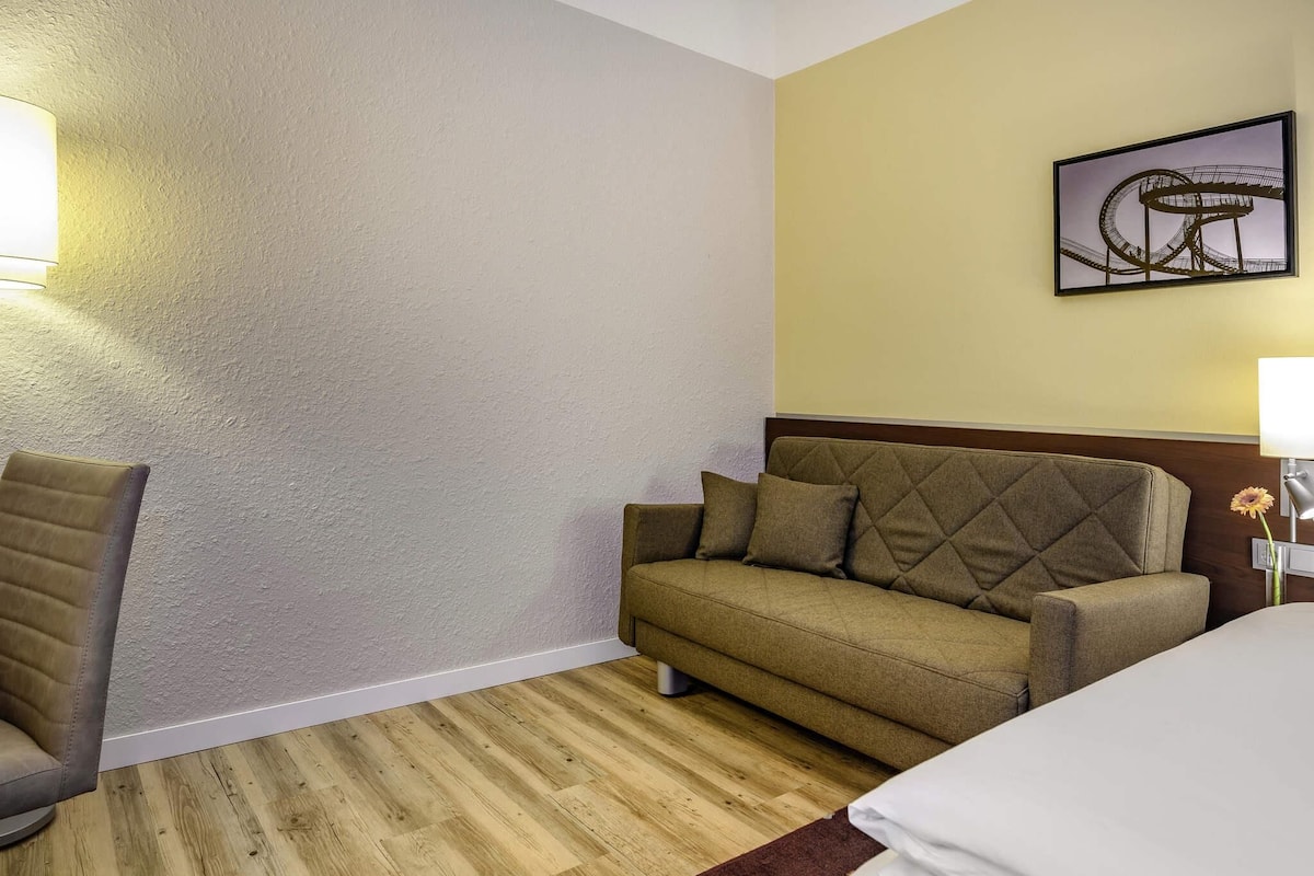 Habitación estándar, 1 cama matrimonial y sofá cama | Ropa de cama hipoalergénica y minibar